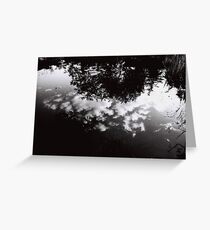 Reflexions Greeting Card