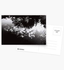 Reflexions Postcards
