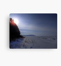 Desolate Winter Lake Canvas Print