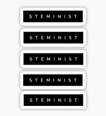 STEMINIST Sticker
