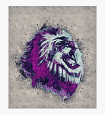 Painted geometric Lion Head in Bright Colors Photographic Print