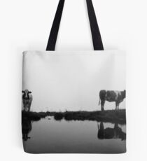 + - = Tote Bag