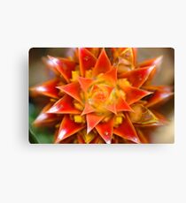 tropical spike Canvas Print