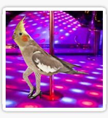 Cockatiel Stripper Sticker