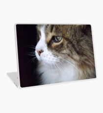 Concentration Laptop Skin