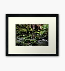 Tranquility Framed Print