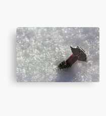 Untitled Metal Print