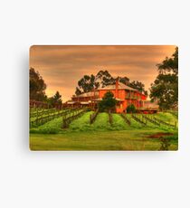 winery Canvas Print