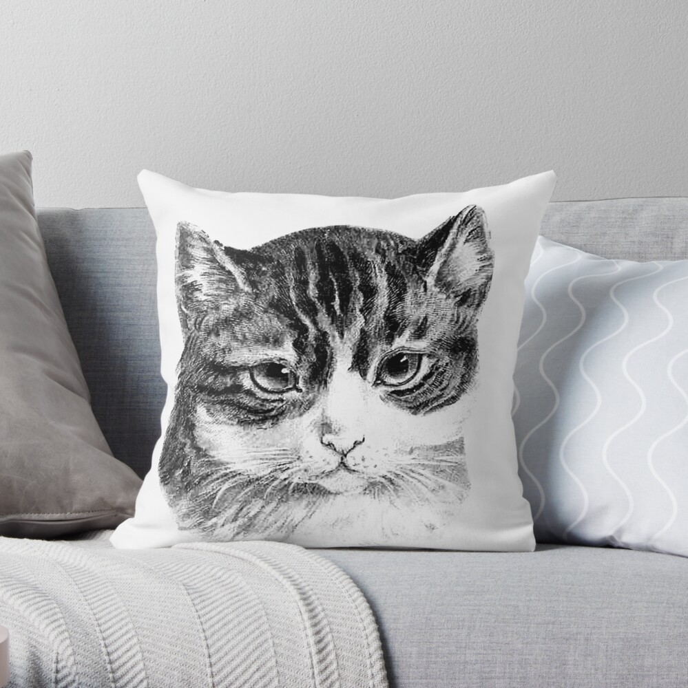 cat throw pillow covers