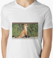 Foxing Around Men's V-Neck T-Shirt