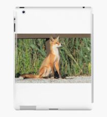 Foxing Around iPad Case/Skin