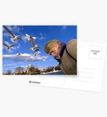Birds Postcards
