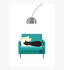 Cat Sleeping on chair Photographic Print