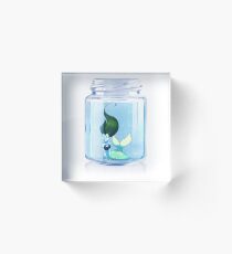 Travel size Acrylic Block