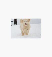 Gracie Art Board