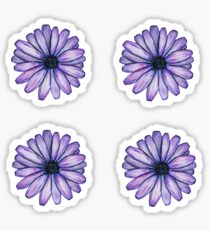 Pegatina paquete de 4 margaritas moradas