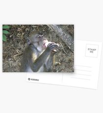 Yakult Everyday Postcards
