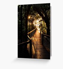 To the beach - Palm Cove, Queensland Greeting Card