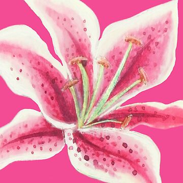 Artwork thumbnail, Stargazer Lilies on hot pink by MagentaRose
