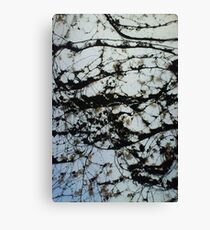 OPAQUE Canvas Print