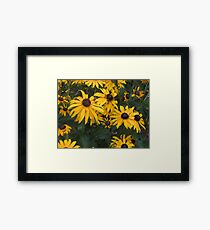 yellow petals Framed Print