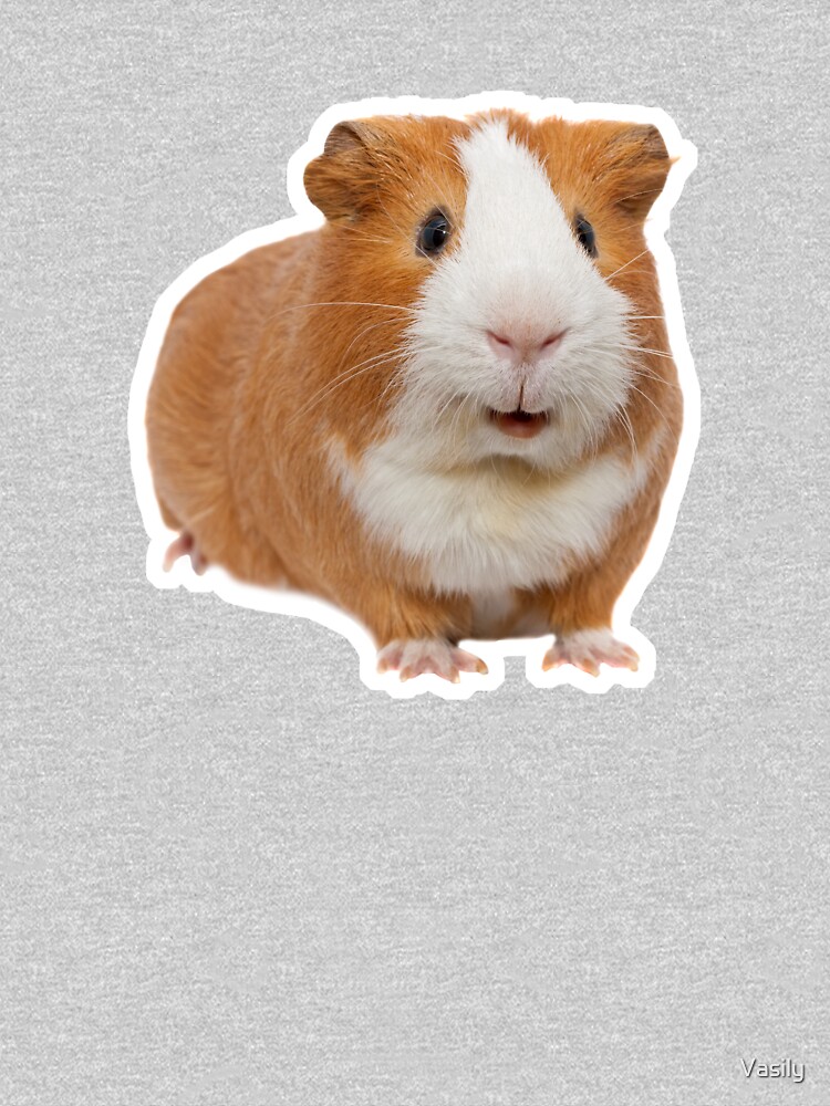 red guinea pig by Vasily