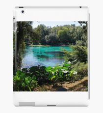 Rainbow Springs iPad Case/Skin