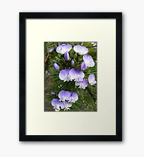 Macro Flowers Framed Print
