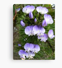 Macro Flowers Canvas Print