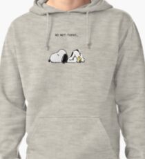 No, not today. Pullover Hoodie