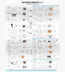 Housecat Breeds part 2 Poster