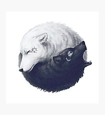 Lámina fotográfica Wolf Yin Yang