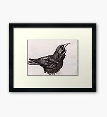 Raven Framed Print