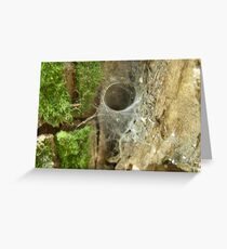 Cobweb Greeting Card