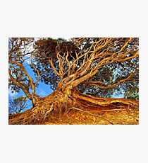 The Ravages of Time! Photographic Print