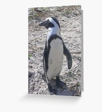 Penguin Greeting Card