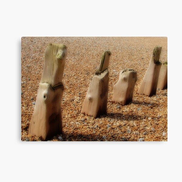 Winchelsea Beach Canvas Print