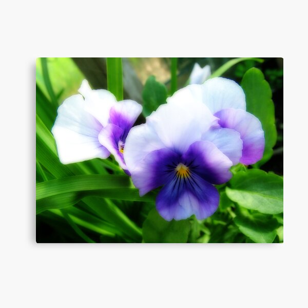 Summertime Canvas Print