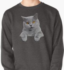 British Shorthair Cat Pullover