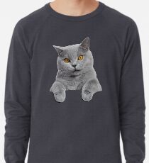 Sudadera ligera Gato británico de pelo corto