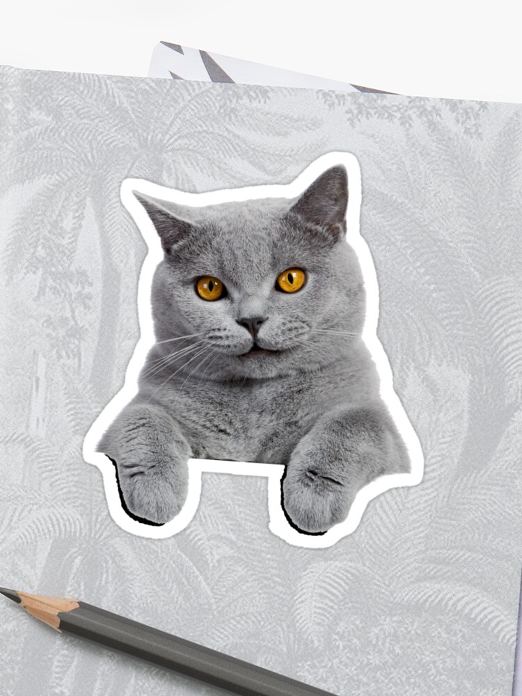 British Shorthair Cat Sticker By Dacdacgirl Redbubble