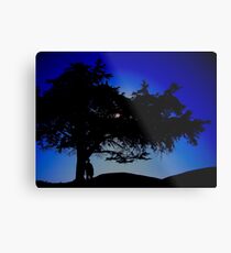The 25 Year Visit Metal Print