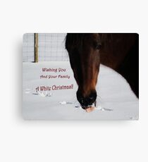 Wishing You and Your Family A White Christmas! Canvas Print