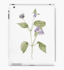Vincent iPad Case/Skin