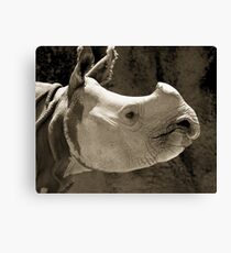 Mr Rhino@Taronga Zoo, Sydney Canvas Print