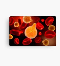 Conceptual image of plasmodium causing malaria. Canvas Print