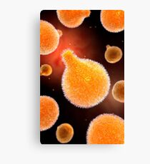 Conceptual image of plasmodium causing malaria. Canvas Print