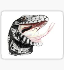 Argentine Tegu Sticker