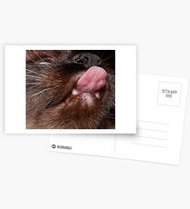 werwolf Postcards