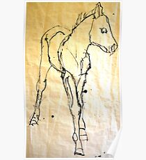 Anthony's Foal Poster